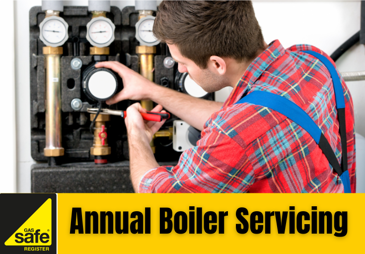 annual boiler servicing Ditton 