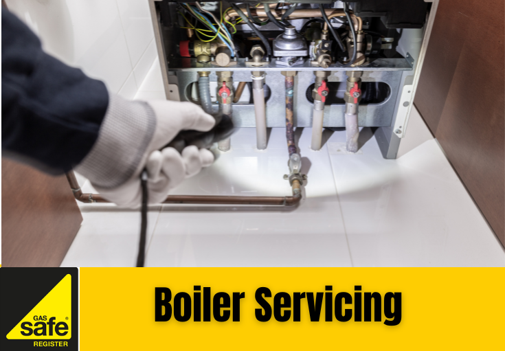 boiler service Ditton 